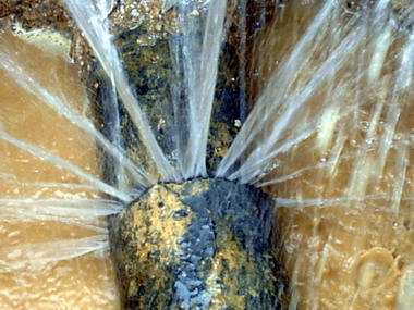 �ܾW(w��ng)©ˮ���ܕ�������ЩӰ푣�