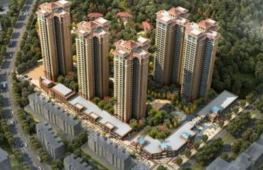 �VԪɏ������ι�ˮ�(xi��ng)Ŀ�䌍(sh��)